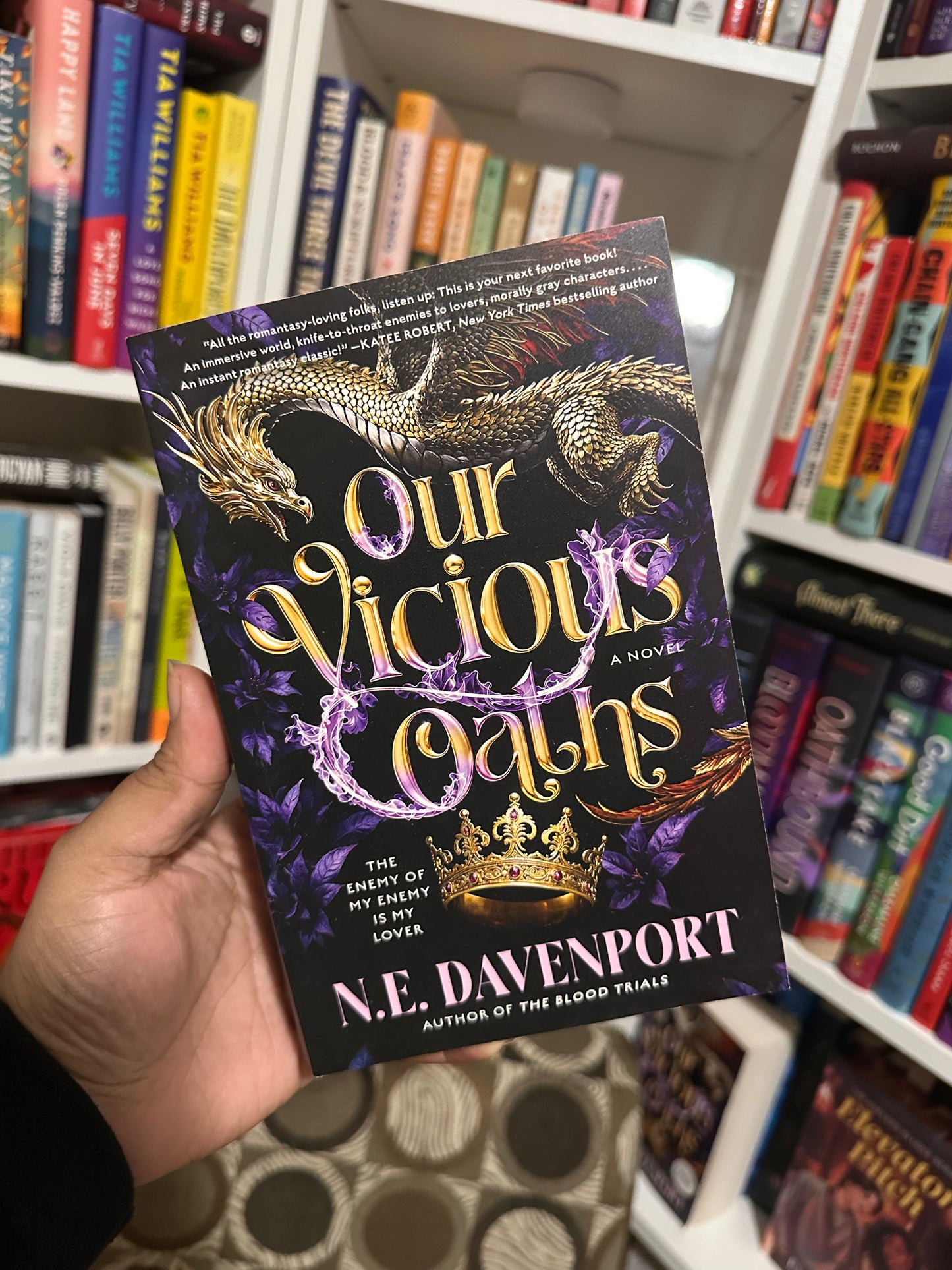 Our Vicious Oaths by N.E. Davenport